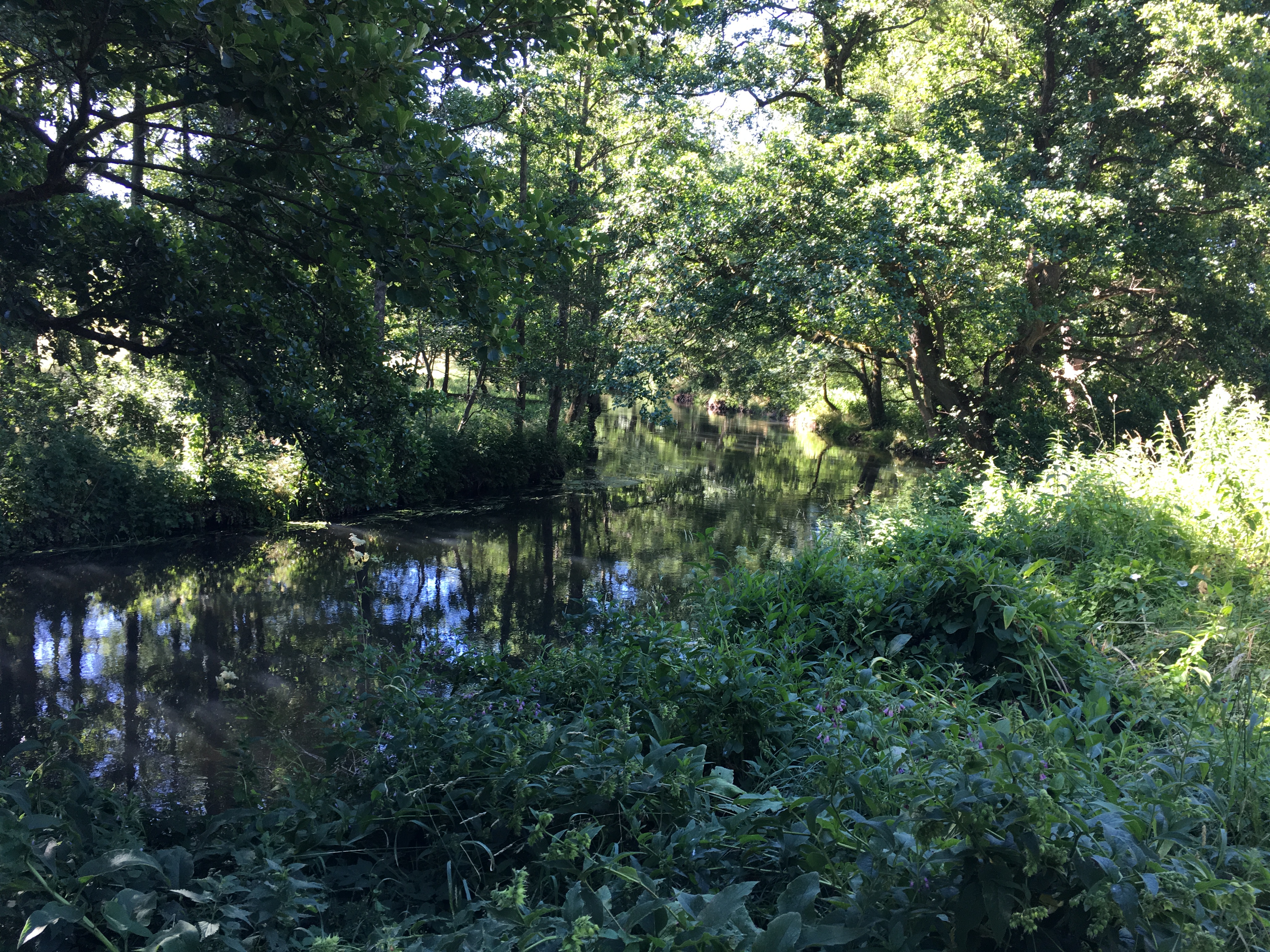 Vejle Å langs Bindeballestien bindeballe