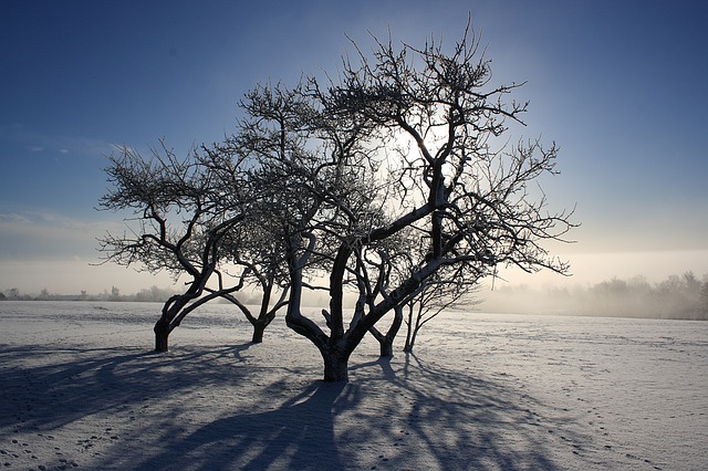 Munkebo bakke vinter