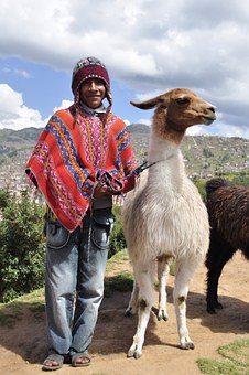 indianer med lama