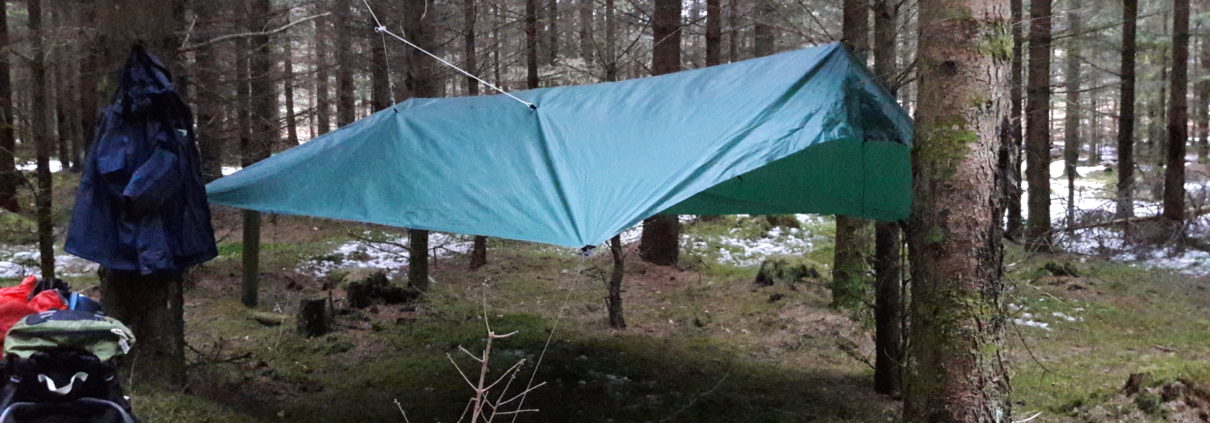 tarp i granskoven