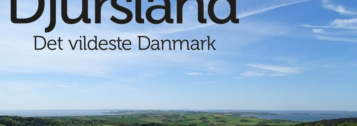 Visit Djursland Vandreshoppen.dk