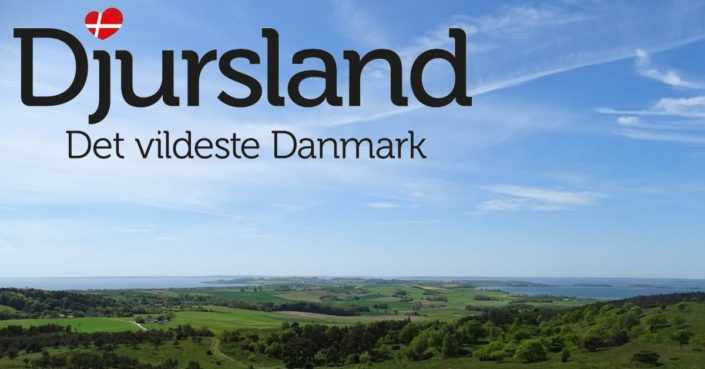 trehoje.visitdjursland.logo_.billede.1200 Visit Djursland Vandreshoppen.dk