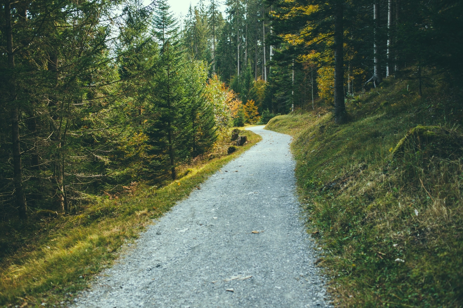 Fodrejser, vandrehjem og kroppens sundhed