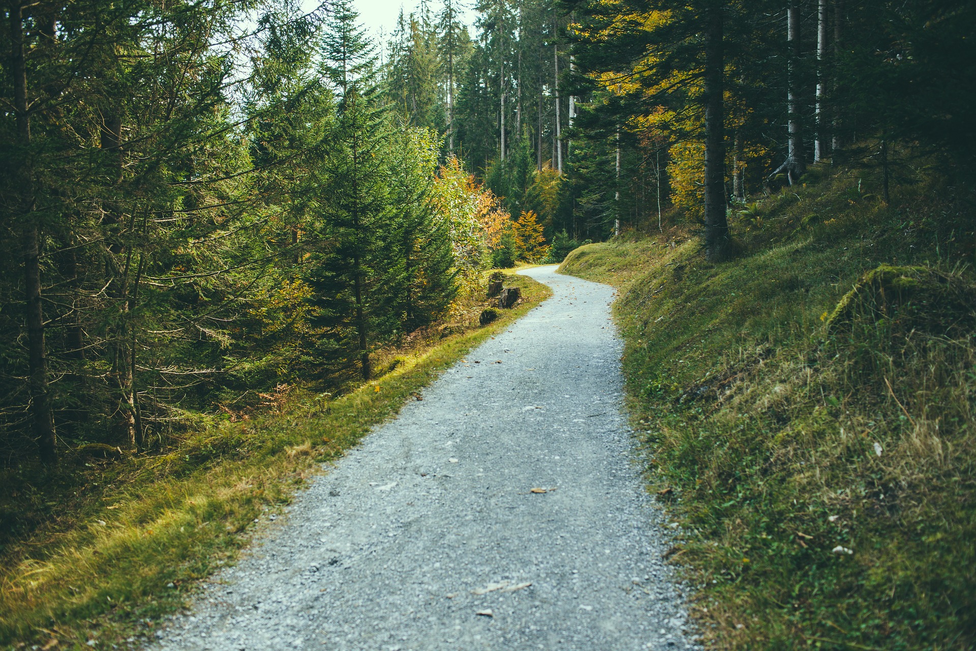 Fodrejser, vandrehjem og kroppens sundhed Fodrejser, vandrehjem og kroppens sundhed